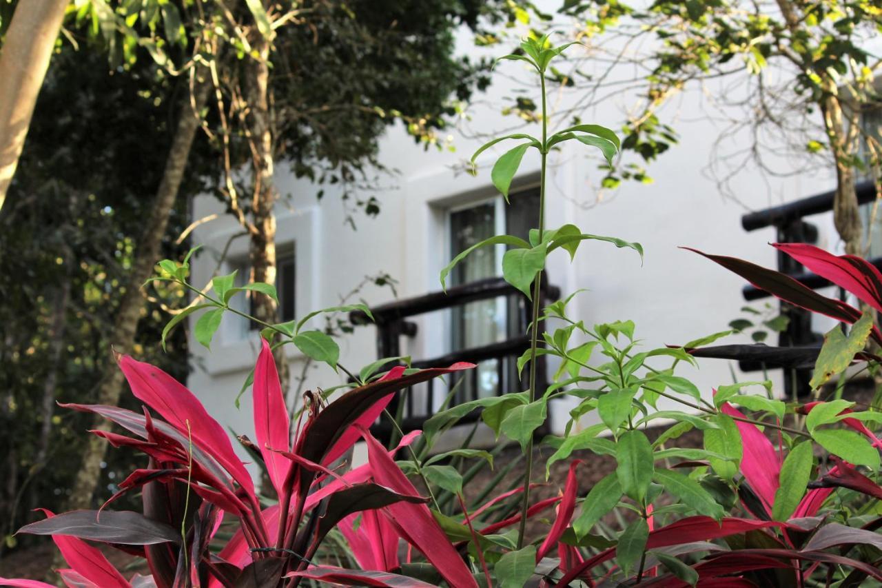 Lunah Xcacel Suites Chemuyil Luaran gambar