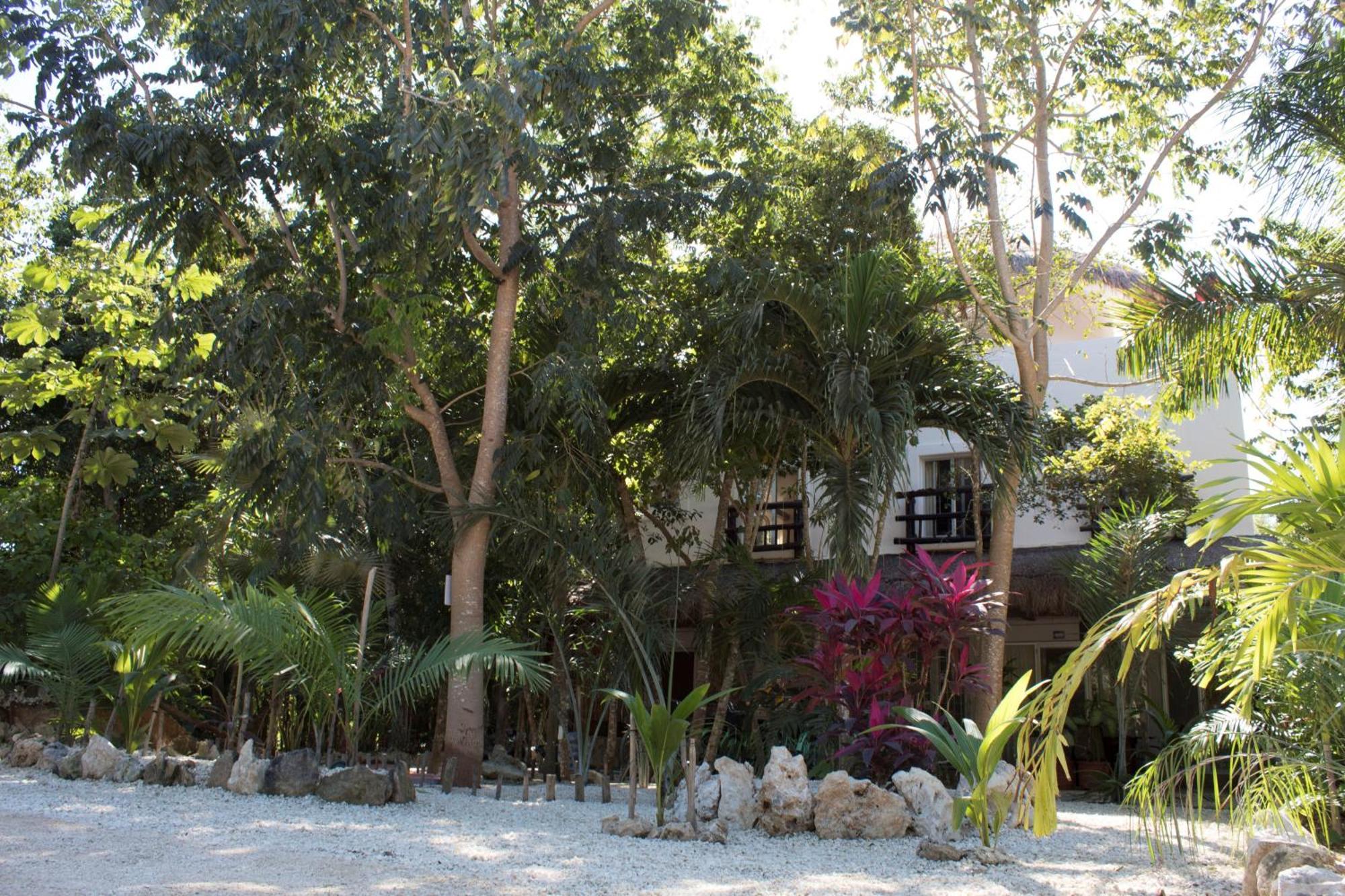 Lunah Xcacel Suites Chemuyil Luaran gambar